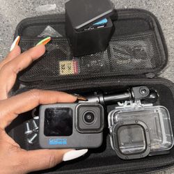 GoPro 10 With Case & Extra Batteries 