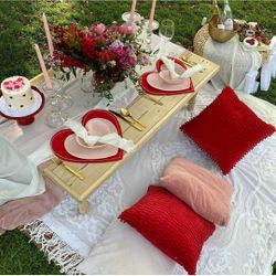 Valentine’s Day Picnic  Setup