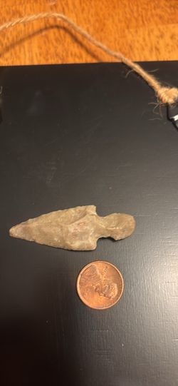Indian arrowhead