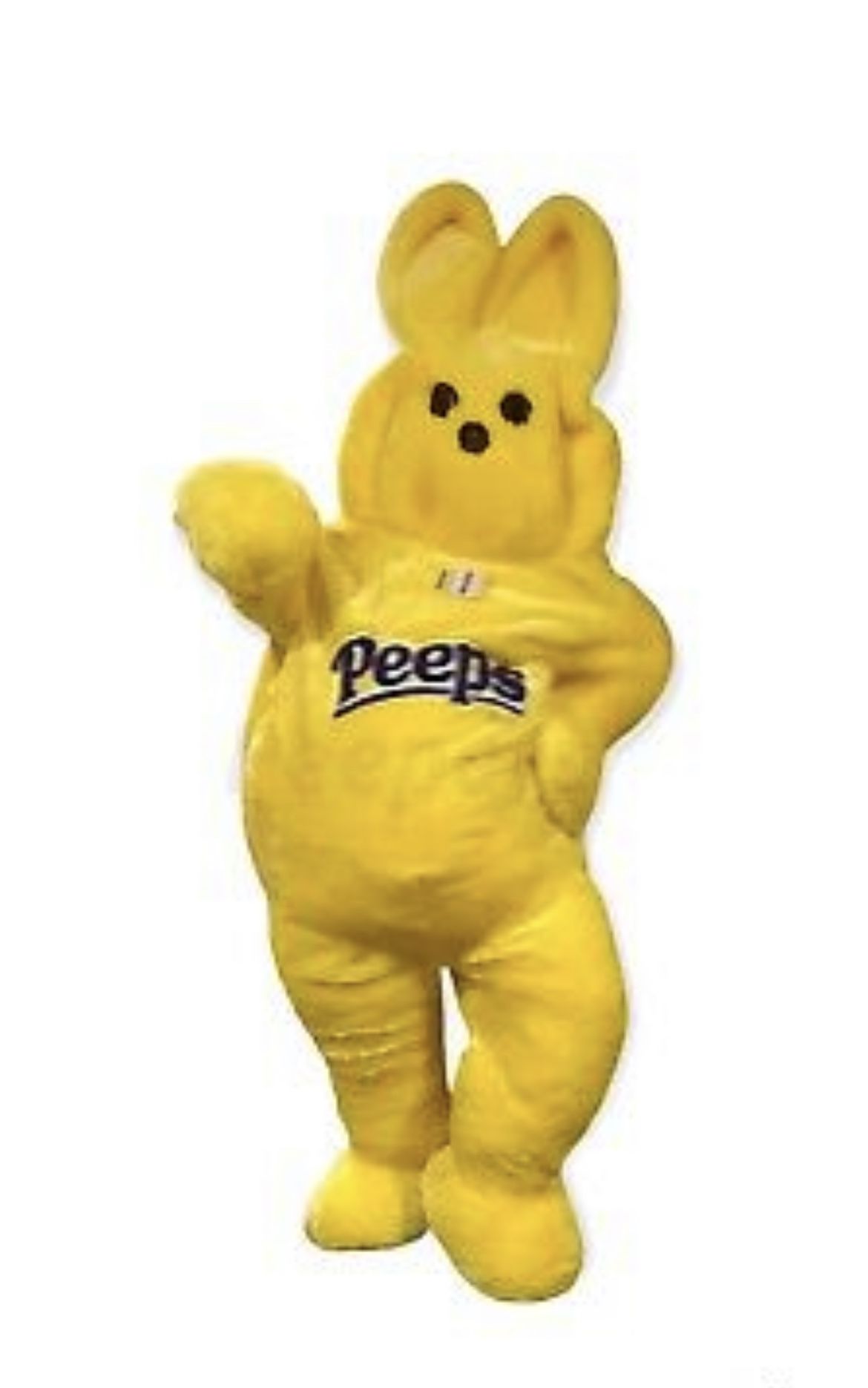 Peeps Costume