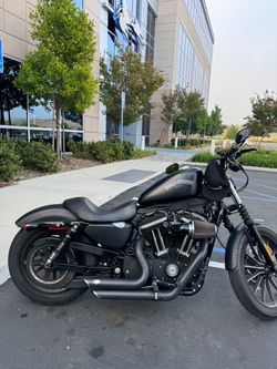 2013 Harley-Davidson Sportster Iron 883 Motorcycle