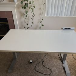 Teknion Height Adjustable Desk - 59” L x 30” W