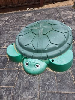 Sand turtle