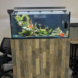Aquarium 