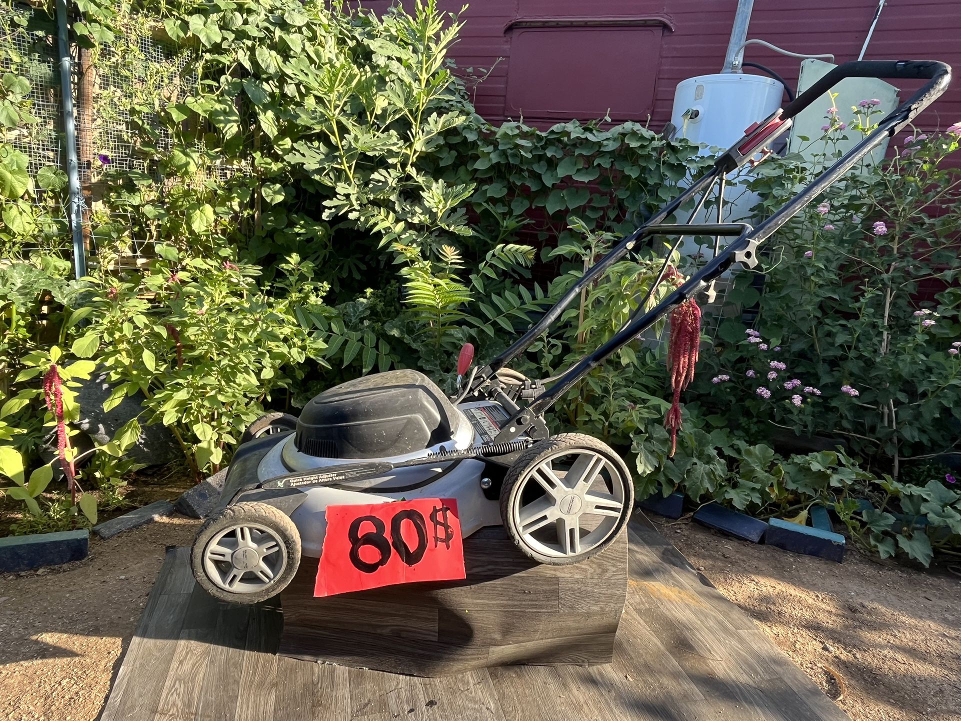 ELECTRIC LAWN MOWER WITH BAG
