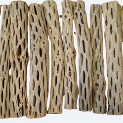 10 Pieces Cholla Wood 9” Long For Shrimp Tanks, Aquatic Terrariums And Aquariums 