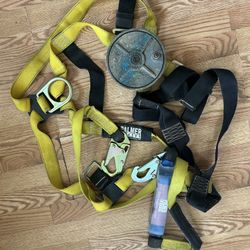 PALMER  CINTURÓN DE SEGURIDAD