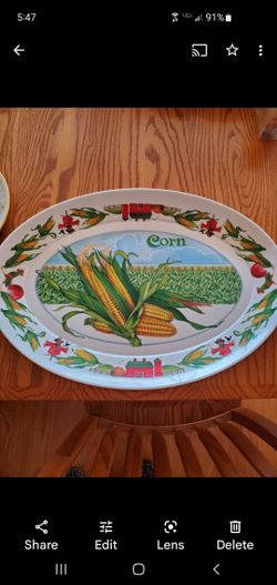 Melamine BBQ Platter $5