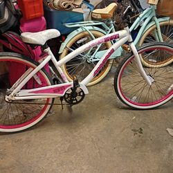 One Of A Kind Beach Cruiser
