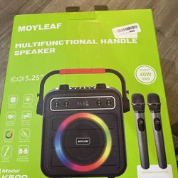 moyleaf karaoke machine k500