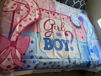 Gender Reveal Backdrop