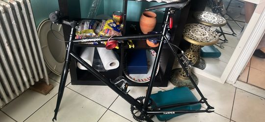 Fixie frame