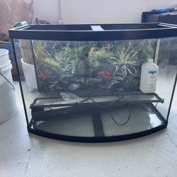 Fish Tank