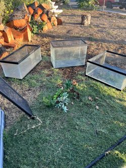 GLASS BOXES FOR YOUR PETS GREAT CONDITION $35 EACH 