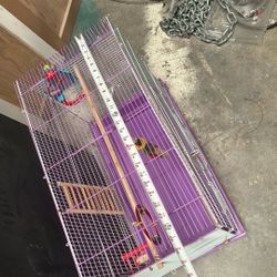 Birds Cage 