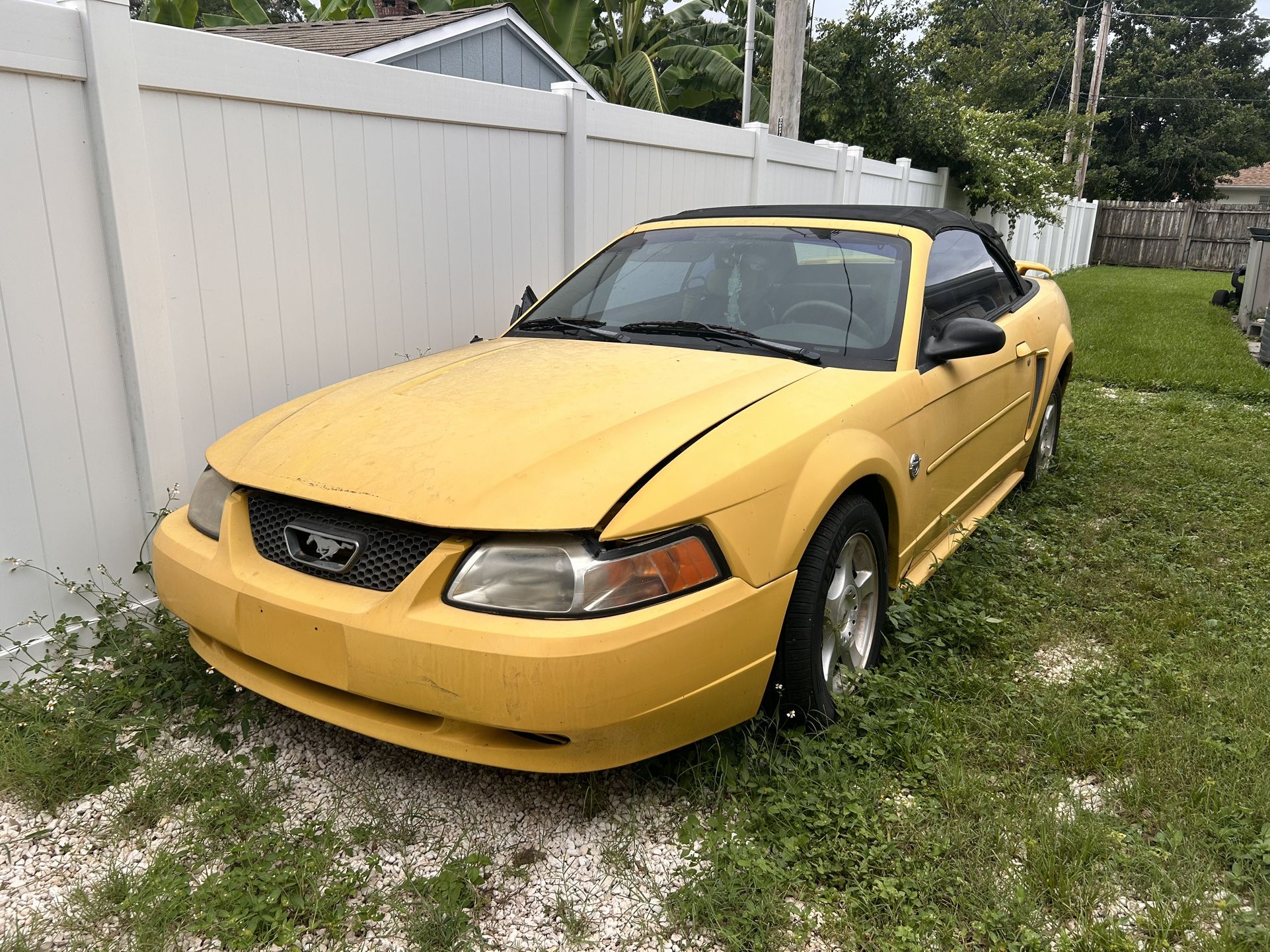 2004 Ford Mustang