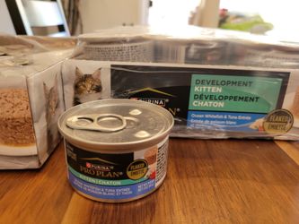 Kitten Wet Food Purina Pro Plan