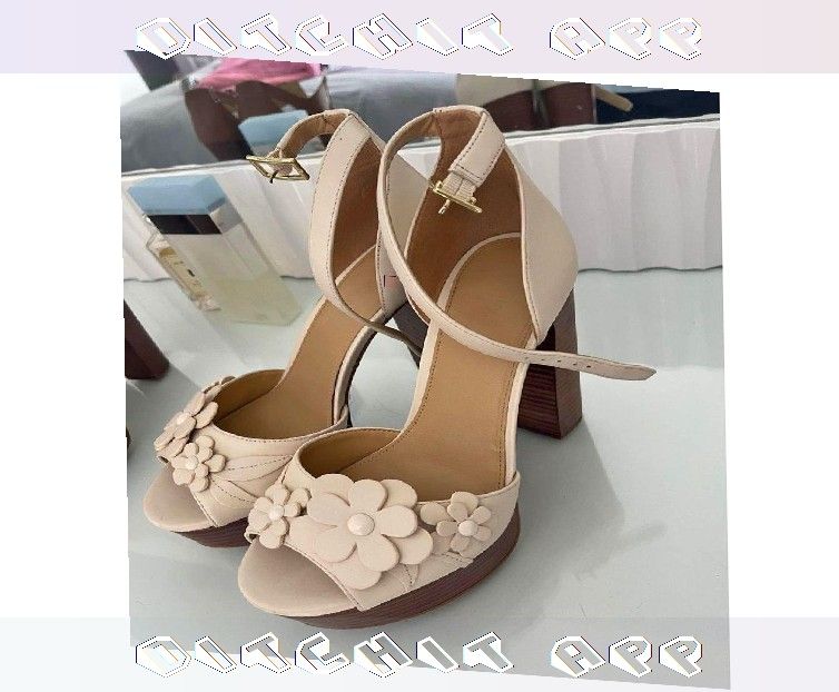 rest show Event Fashion Shine with Sophisticated and Modern Styles