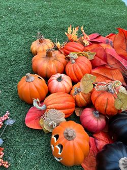 Fall flawers & decor