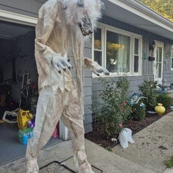 Hallowen Wolf 
