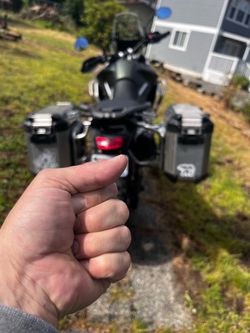 2023 triumph tiger 900 rally pro