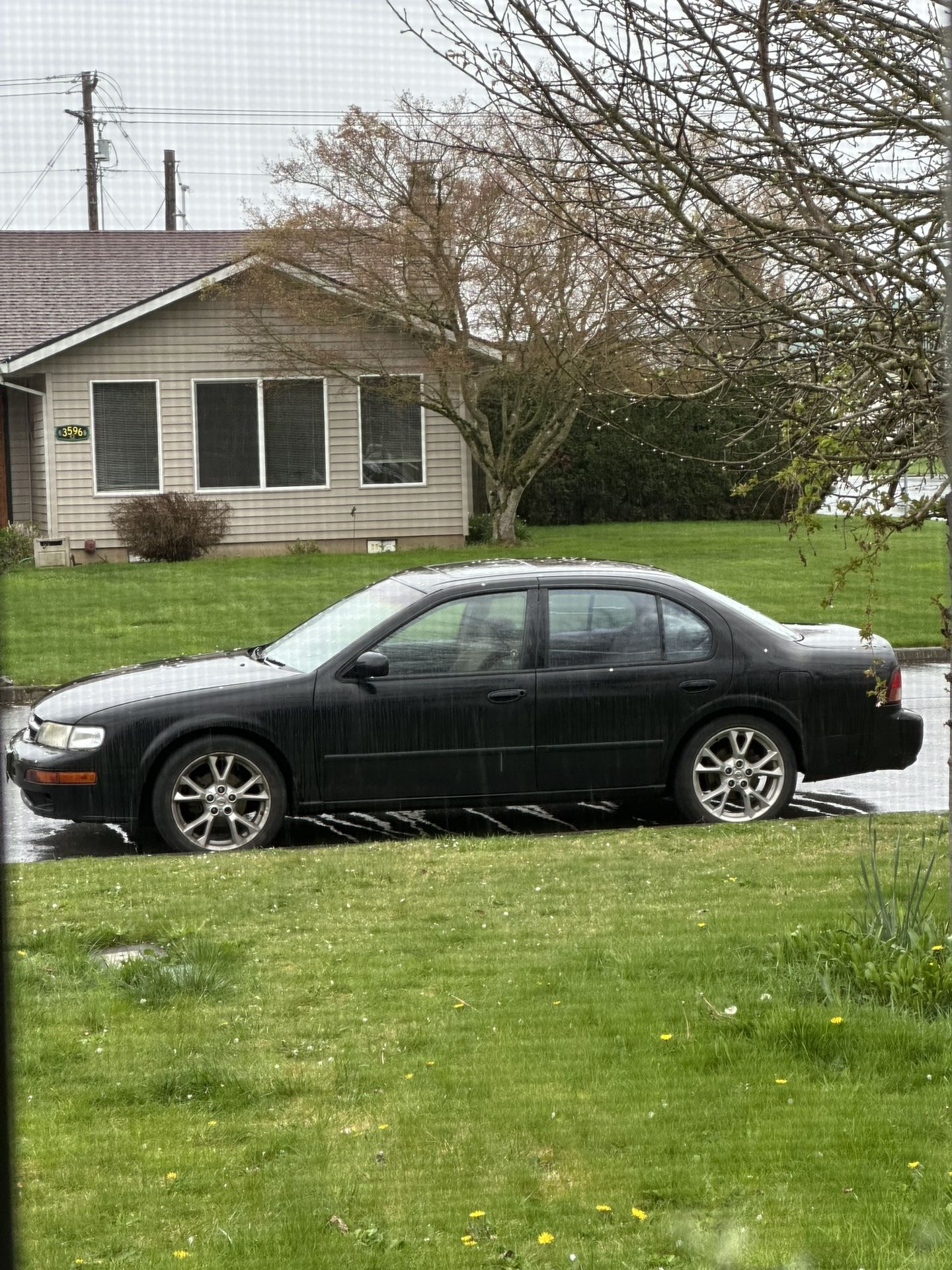 Nissan maxima