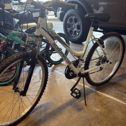Roadmaster Mountain Bike