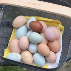 Eggs