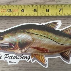 10” St Pete Snook Car Boat Sticker