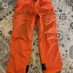 Patagonia Cargo Pants (L) 