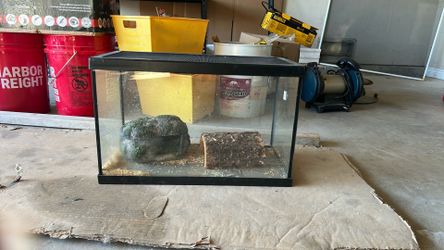 Snake (reptile) Tank With Rock Cave
