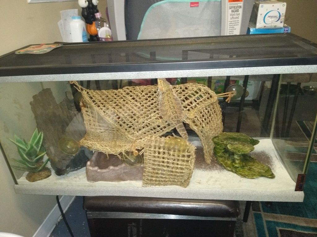Aquarium fish tank used for Reptile sand substrate