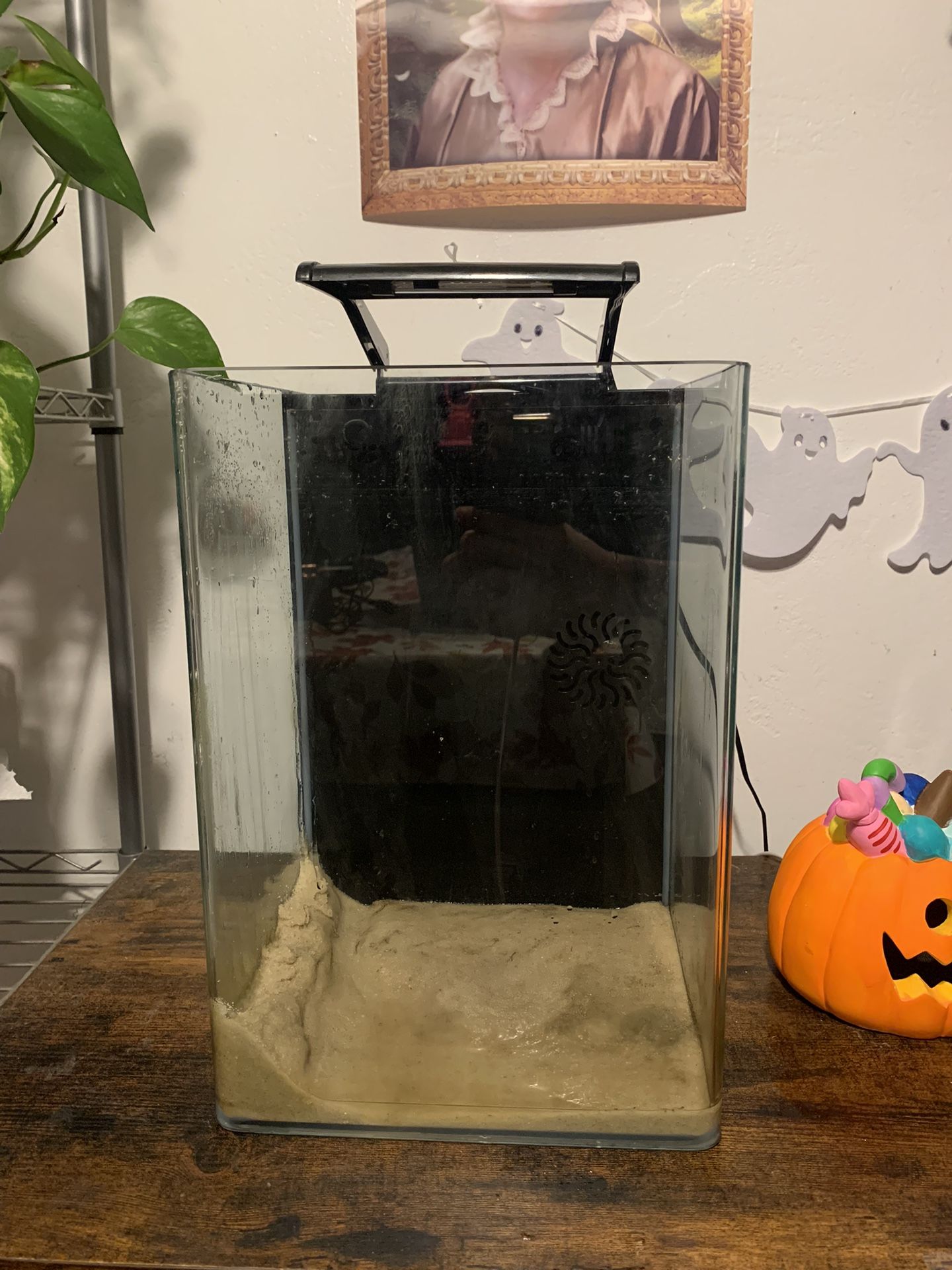 GloFish Desktop Cycle Light, 5 Gallon Fish Tank