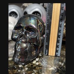 Skeleton
