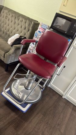 Salon Chair