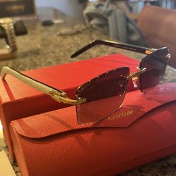 Men’s New Cartier Horn sunglasses