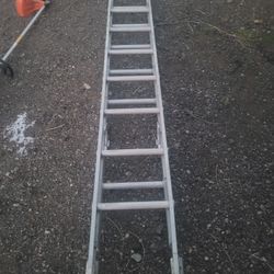 EXTENSION LADDER.  WORKS PERFECT