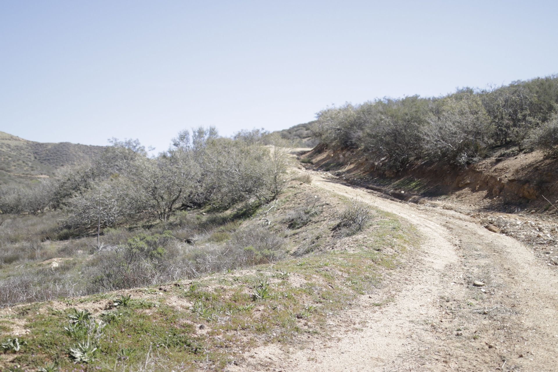 Acton ,ca horse land for sale !!!!