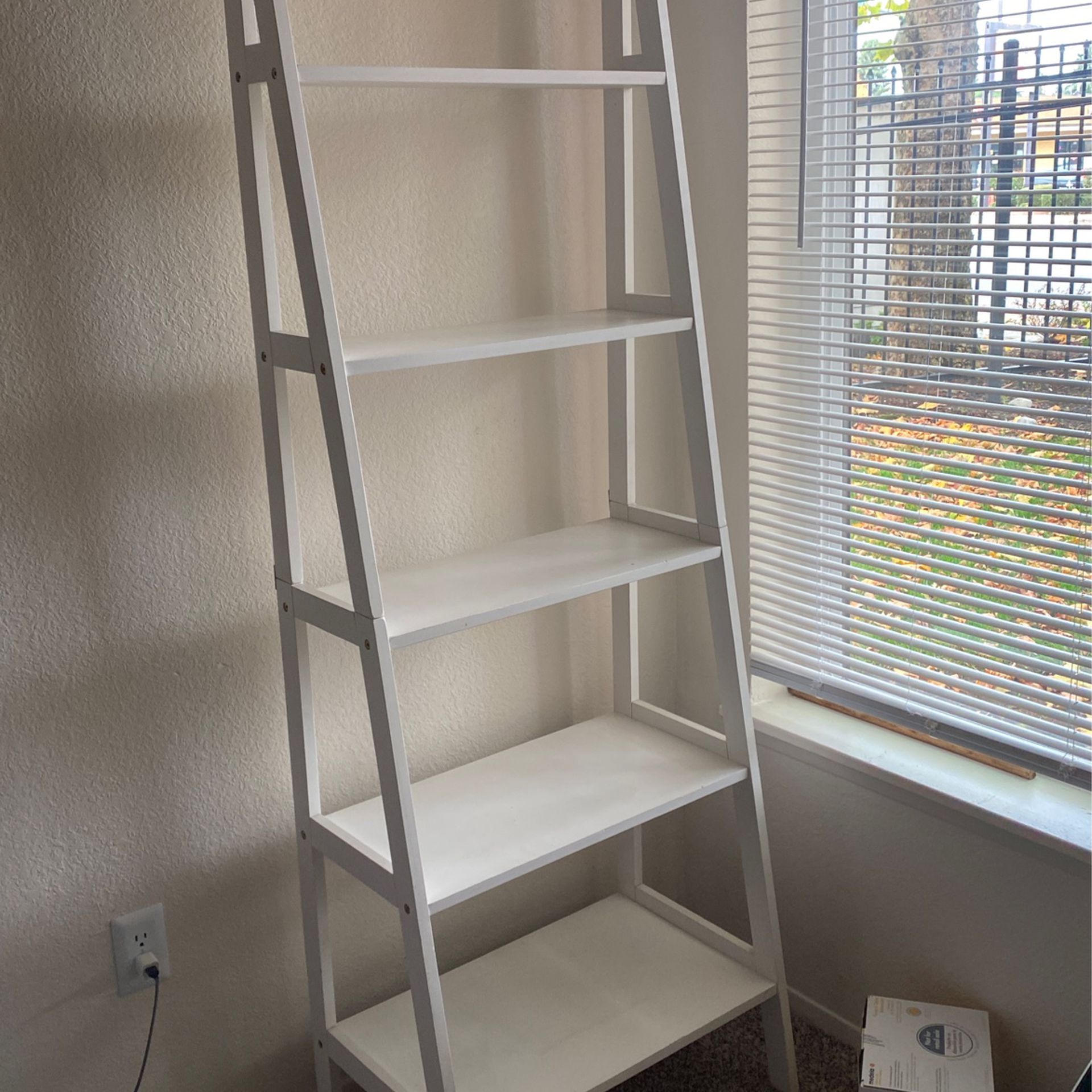 White Ladder Book Shelf