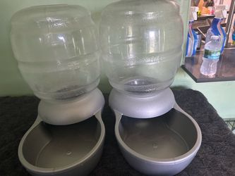 Pet water dispenser