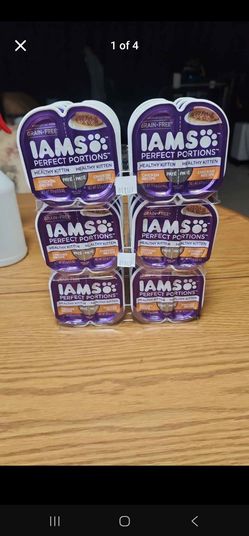 Cat kitten food