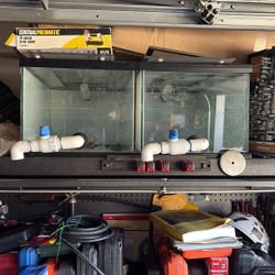 25 Gallon Breeder Tanks
