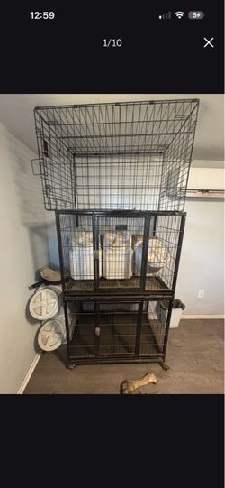 Pro Dog cages $100 and supplies