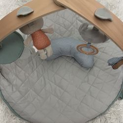 Baby Activity Gym