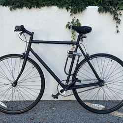 Schwinn 2025 cutter fixie