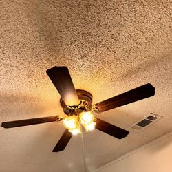 Ceiling fan 