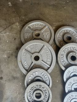 Standard Olympic Plates 165lbs 