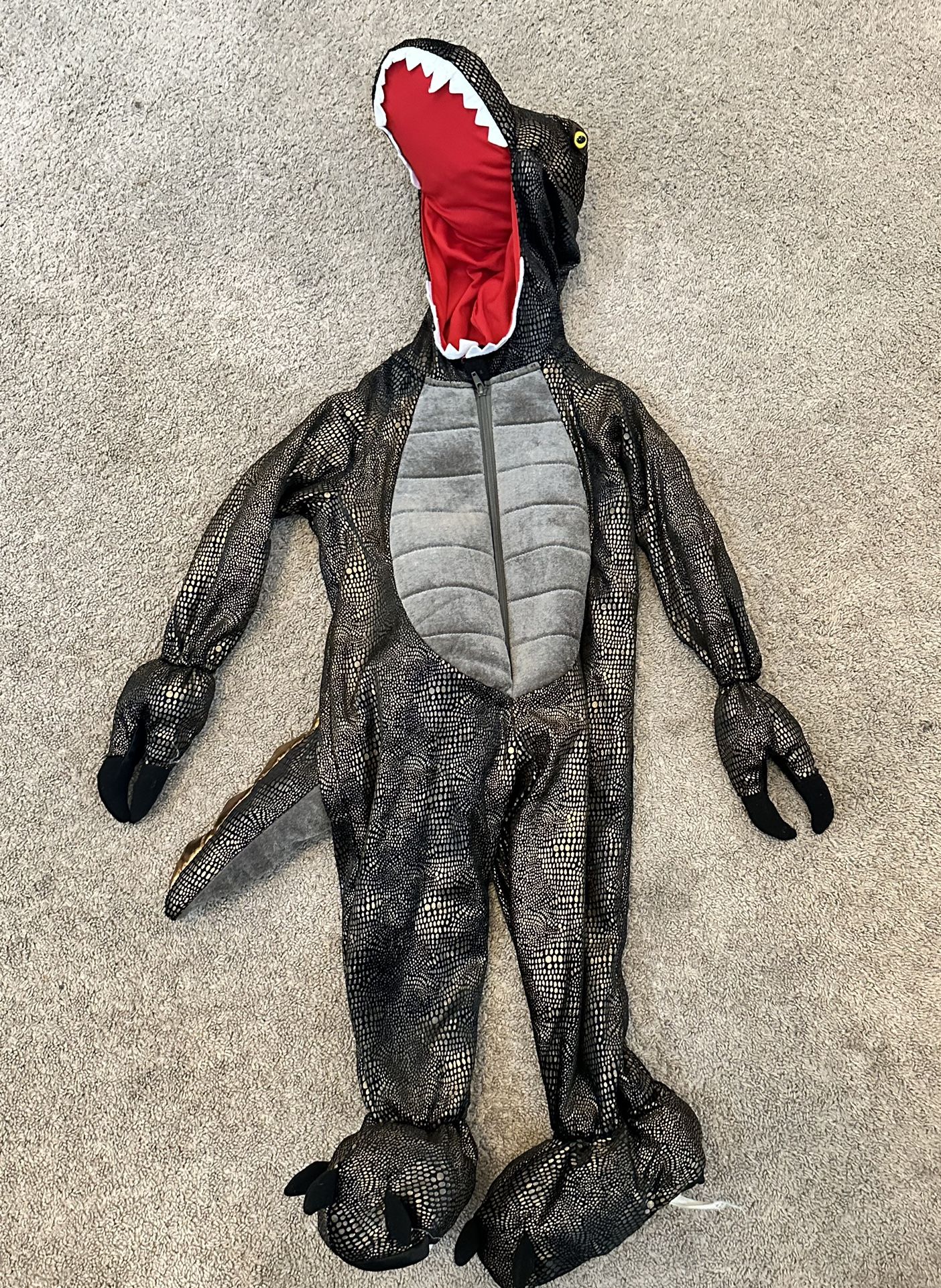 Dinosaur Or Dragon Costume