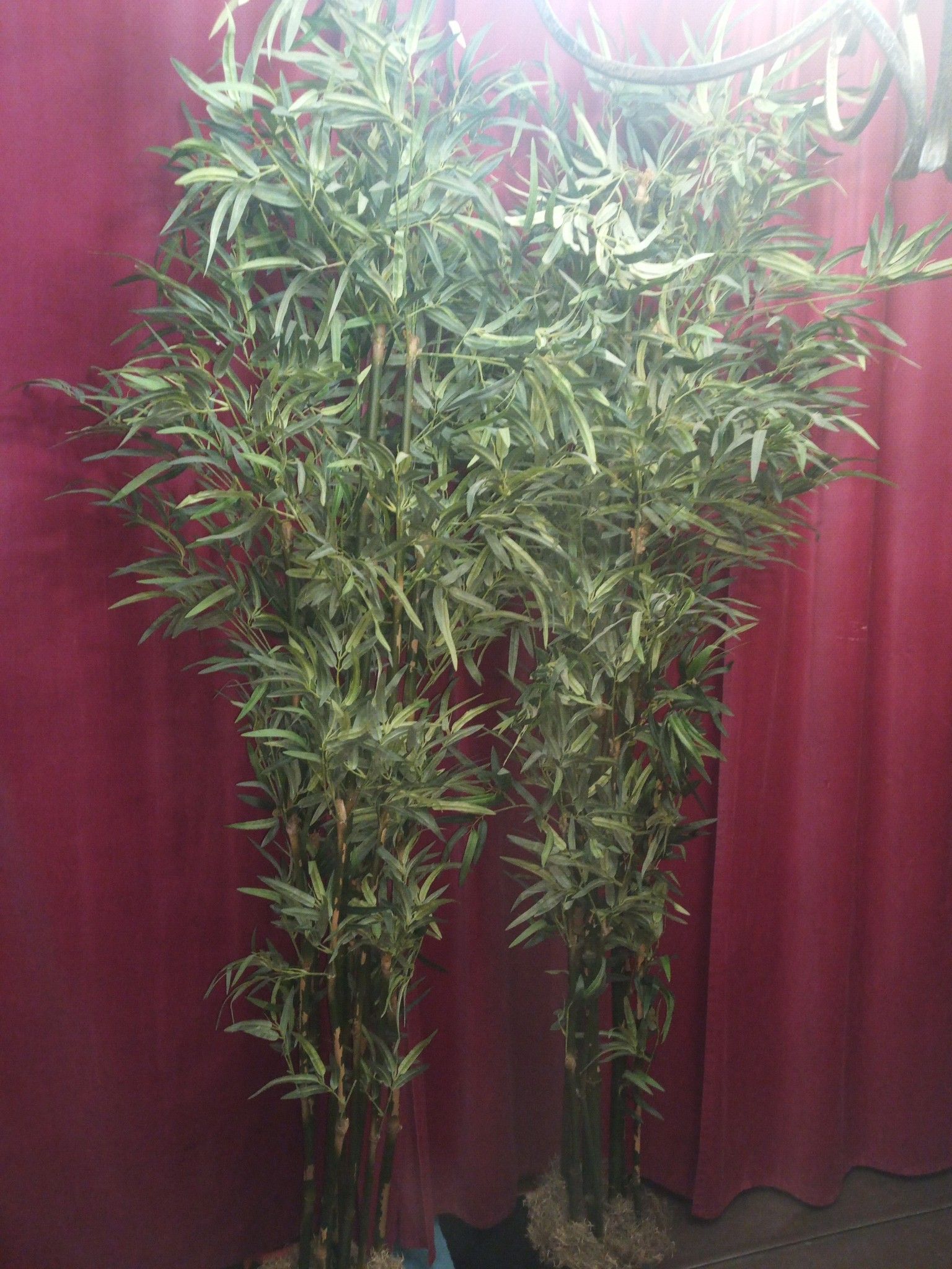 Two set of bamboo fake plants. Made out of plastic. Both tall 86 inches. New for couple $200