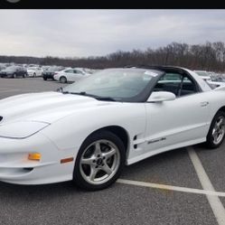 98 Fire Bird Ls1 Ttop